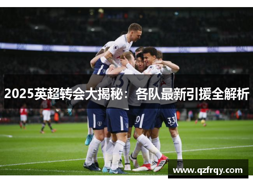 2025英超转会大揭秘:各队最新引援全解析 2025英超转会大揭秘:各队最新引援全解析